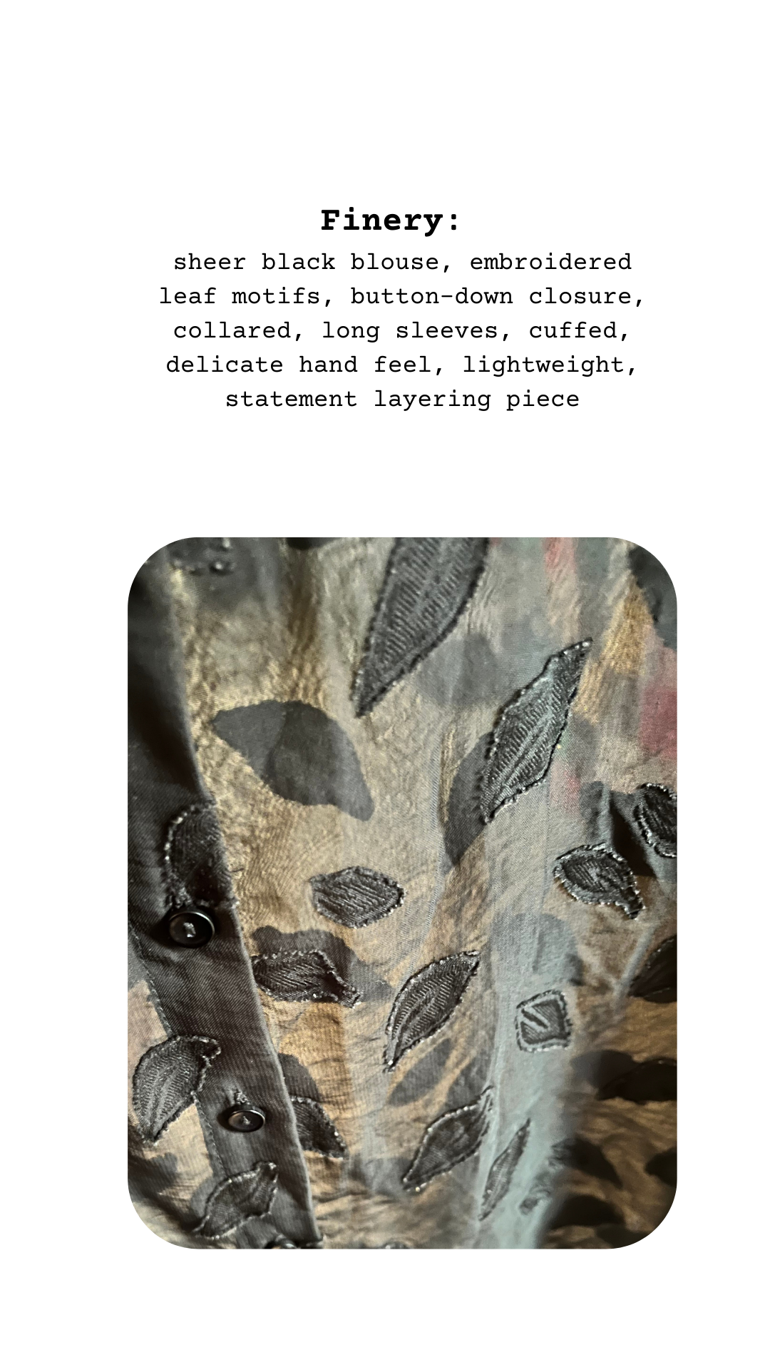 Sheer black blouse with embroidered leaf motifs and button-down closure on a white background.